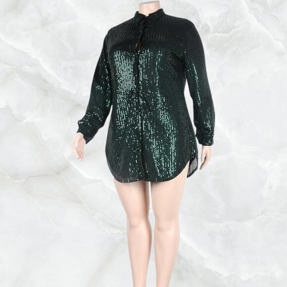 Sequin Collared Button Down Shirt Dress - Green - Picture 2 of 10